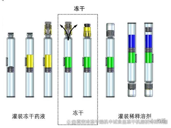 雙腔預充針凍干產(chǎn)品